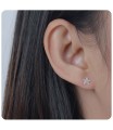 Star Shaped Stud Earrings STS-216